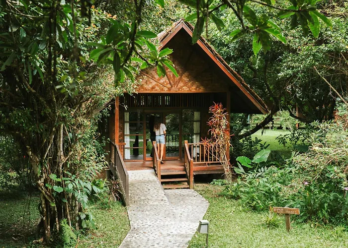Our Jungle House Hotel Khao Sok National Park