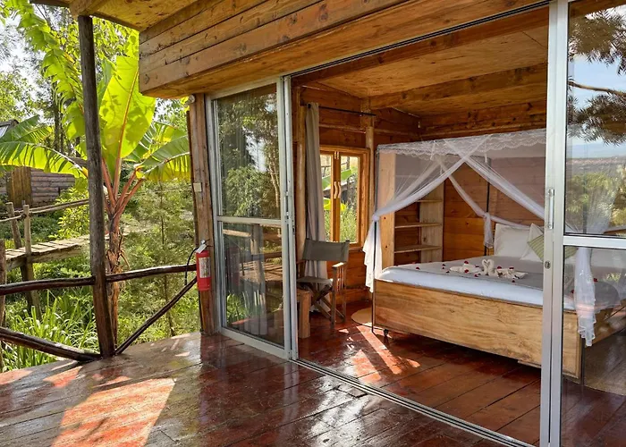 Foresight Eco Lodge&Safari