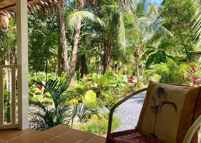 Secret Palm