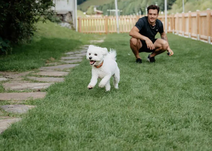 Boutique Hundehotel Bergzeit