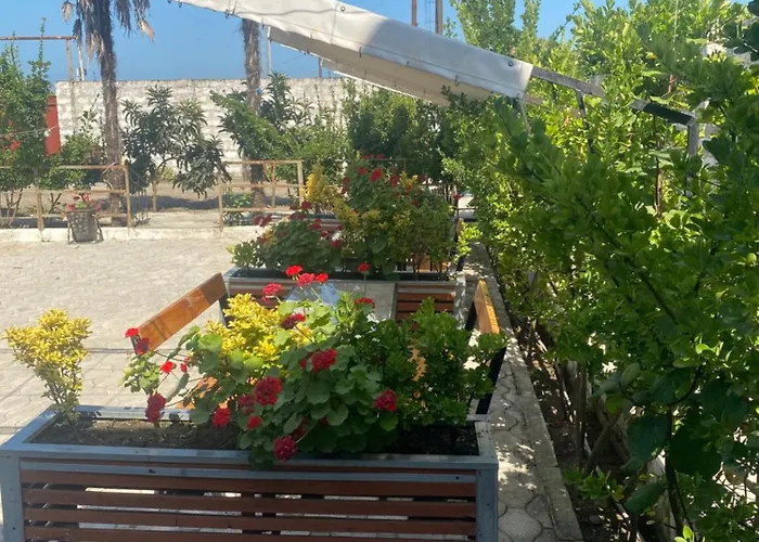 Khazri Qonaq evi / Guest House