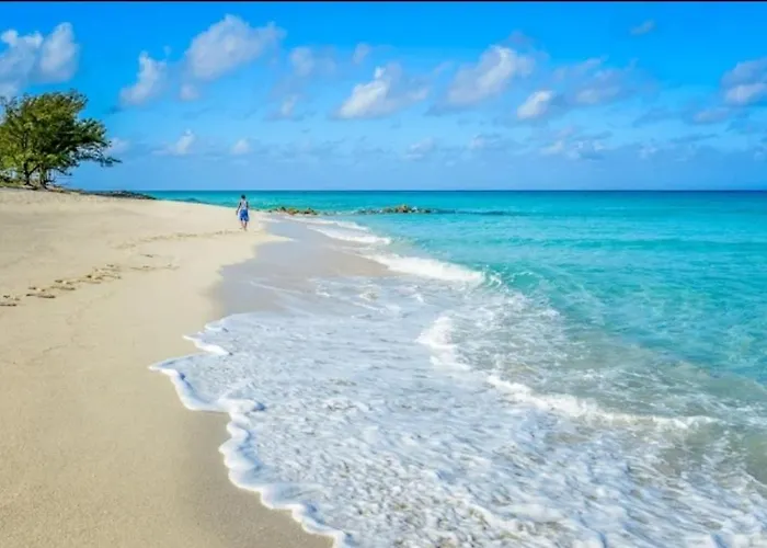 Bimini 2Br-2Ba Ocean View Near Infinity Pool & Beach