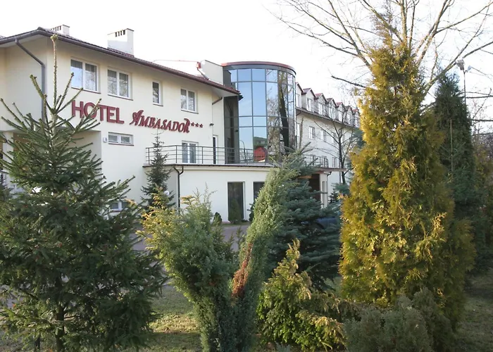 Hotel Ambasador Chojny