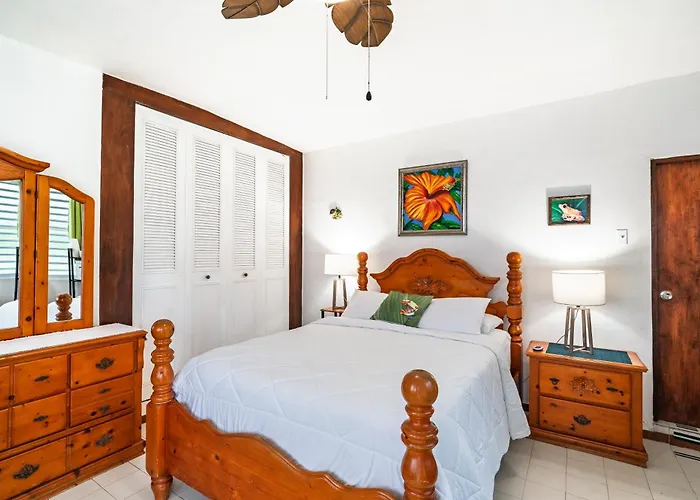 Coconut Palms Rincon