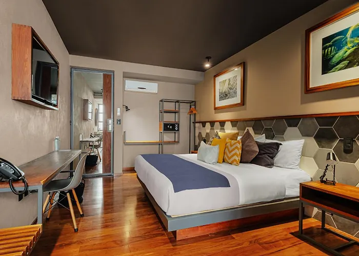 Hotel Criol