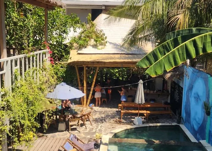 Tipsea Turtle Gili Air