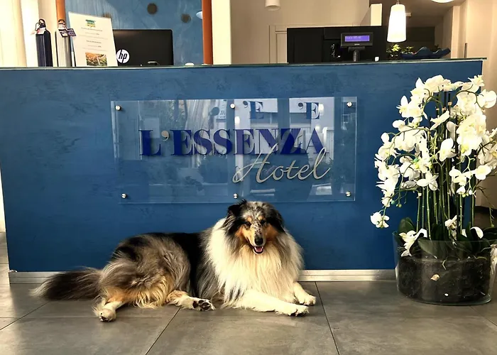 L'Essenza Hotel