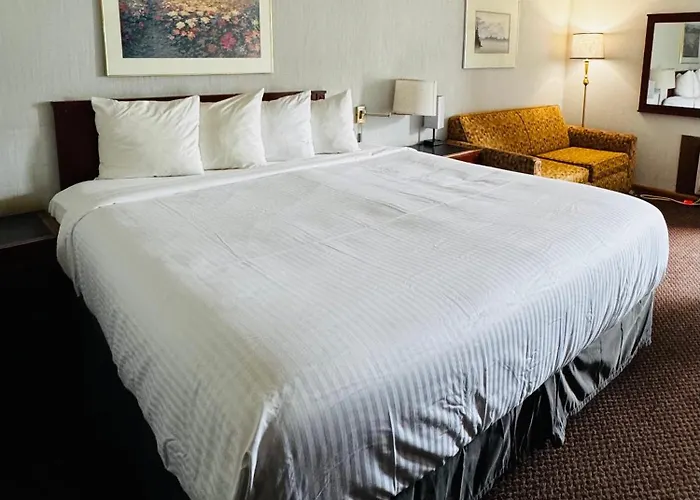 Airport Motor Inn
