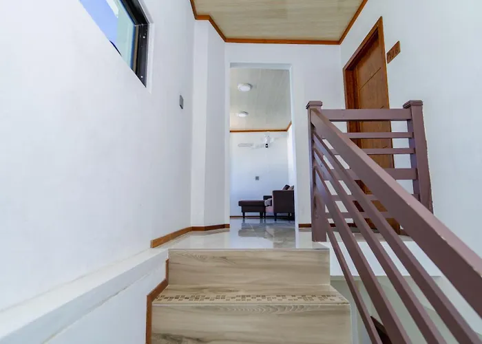 Velaavani - Turtle Hive Dhiffushi