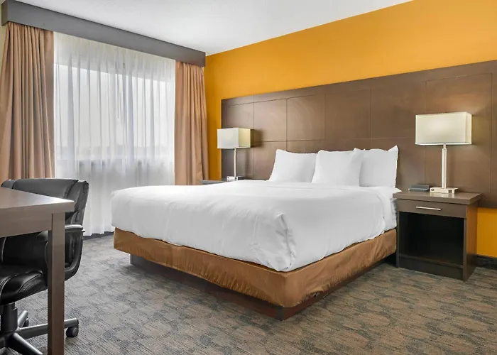 Quality Inn & Suites