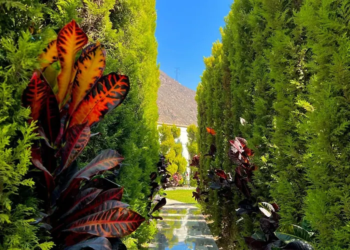 Hotel Magdalena Campestre