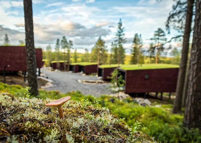 Arctic Treehouse Hotel