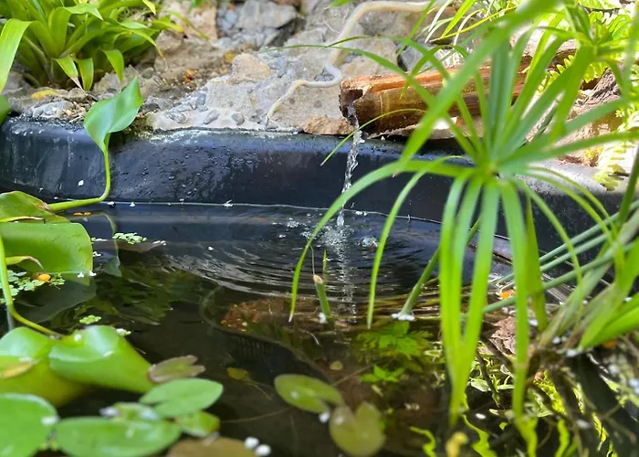 Karets View Les Pieds Dans L Eau - Feet In Water