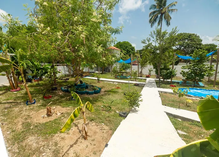 Studio 4 Casiguaya With Garden Access