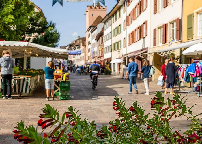 Hotel Schiff Am Rhein