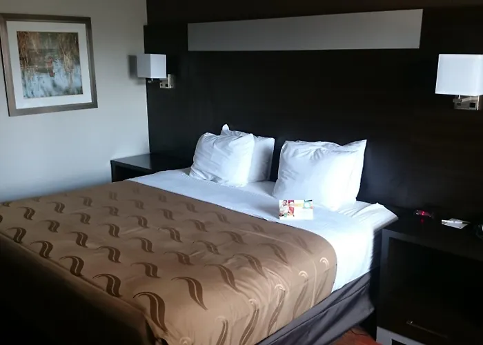 Quality Inn And Suites