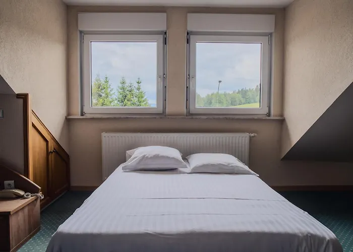Hotel Du Donon