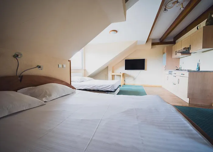 Hotel Du Donon