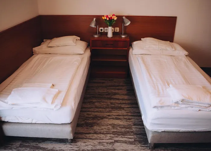 Hotel Ovit