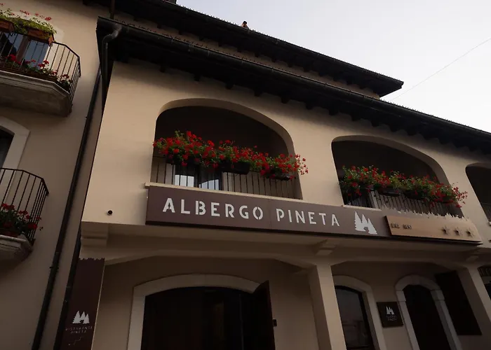 Albergo Pineta Dal 1891