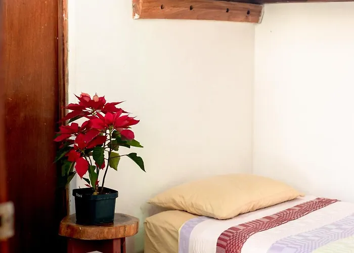Hostal Casa Del Sol