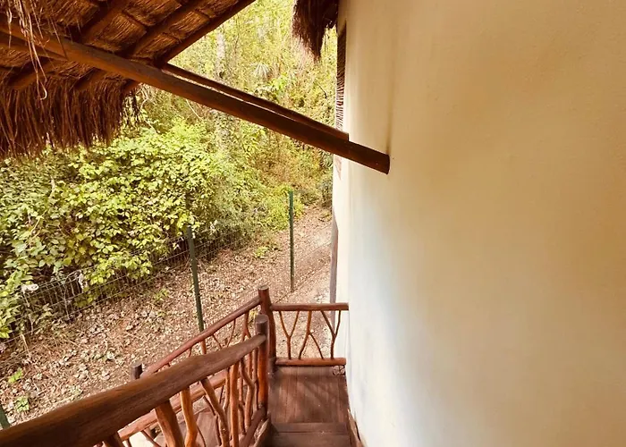 Amarbacalar