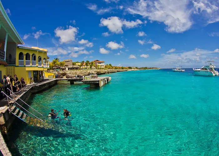 Buddy Dive Resort