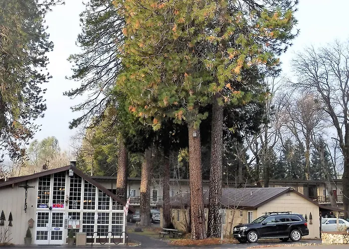 Shasta Inn