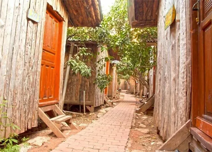 Bayrams Tree Houses
