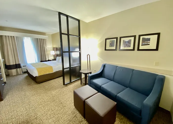 Comfort Suites Byron Warner Robins