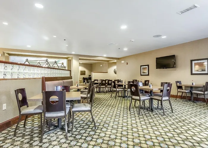 Comfort Suites Mcdonough Atlanta South
