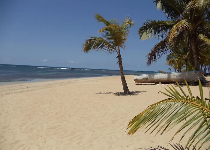 Hotel La Tortuga