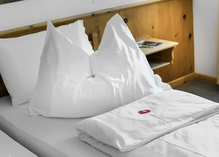 Hotel Suisse, Swiss Alpine Charm