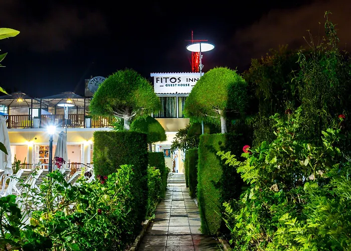 Fitosinn Hotel