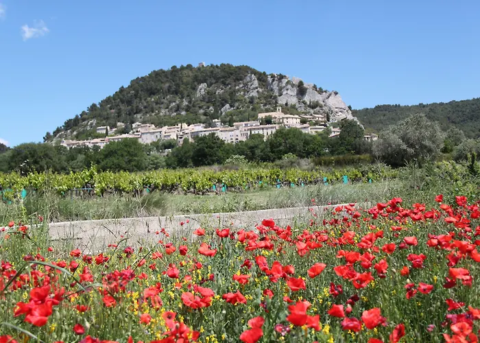 Hotellerie Du Domaine De Cabasse