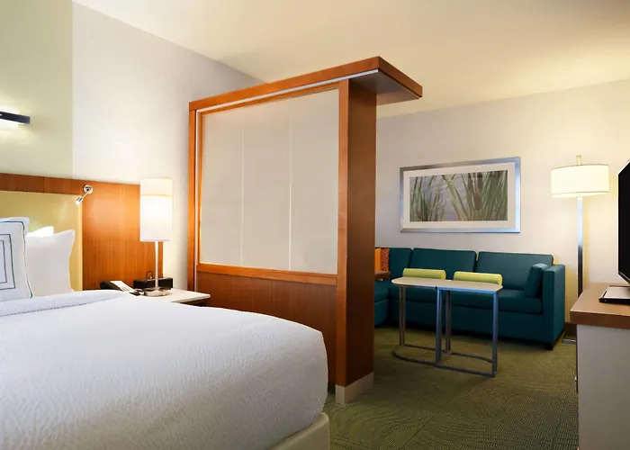 Springhill Suites By Marriott Jackson North/Ridgeland