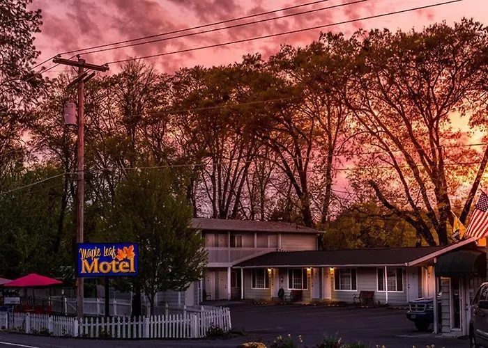 Maple Leaf Motel