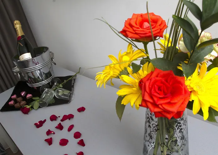 Hotel Black Tulip - Porto Gaia