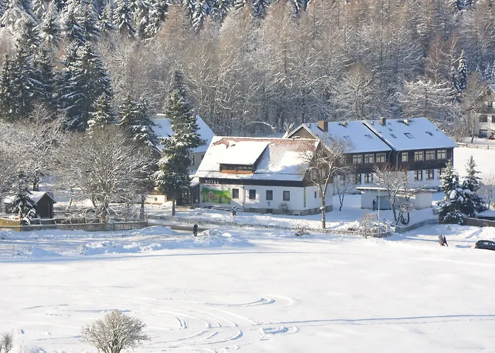 Hotel&Hostel Drei Bären