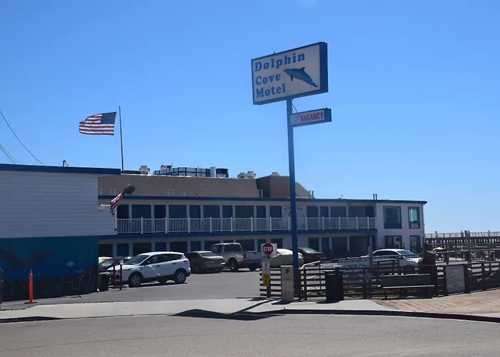 Dolphin Cove Motel