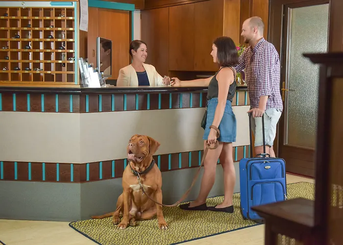 Hotel Bellevue
