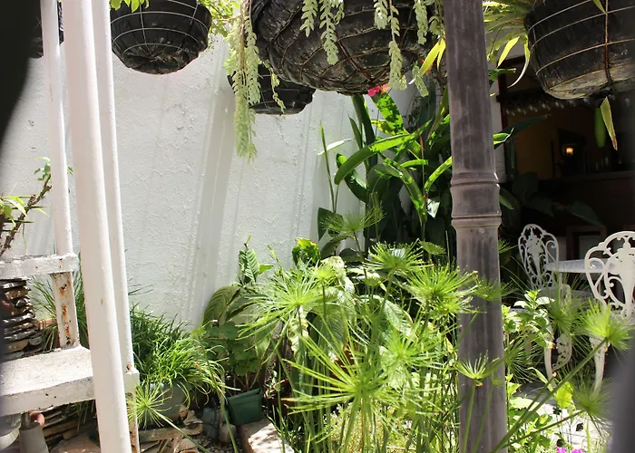Hotel Tazumal House