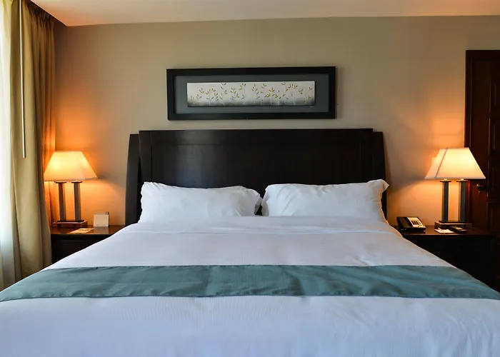 Hotel Plaza Juan Carlos