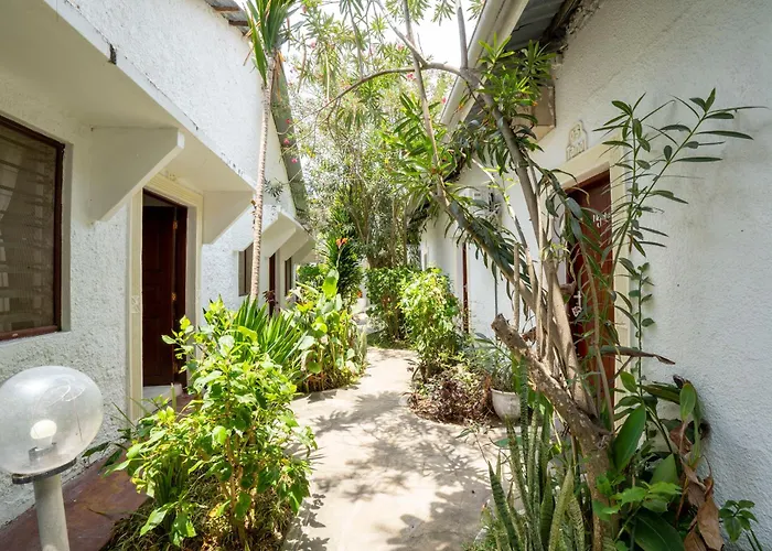 Paradise Lagoon B&B