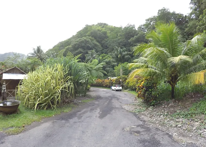 Natty Tropical Valley