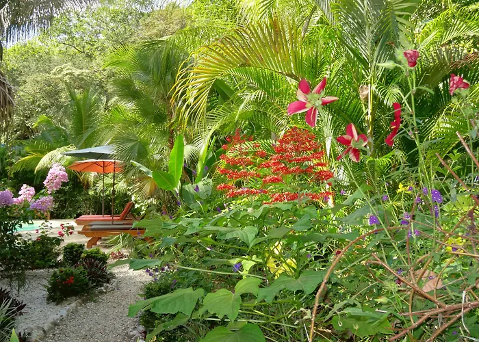 Hotel El Pequeno Gecko Verde