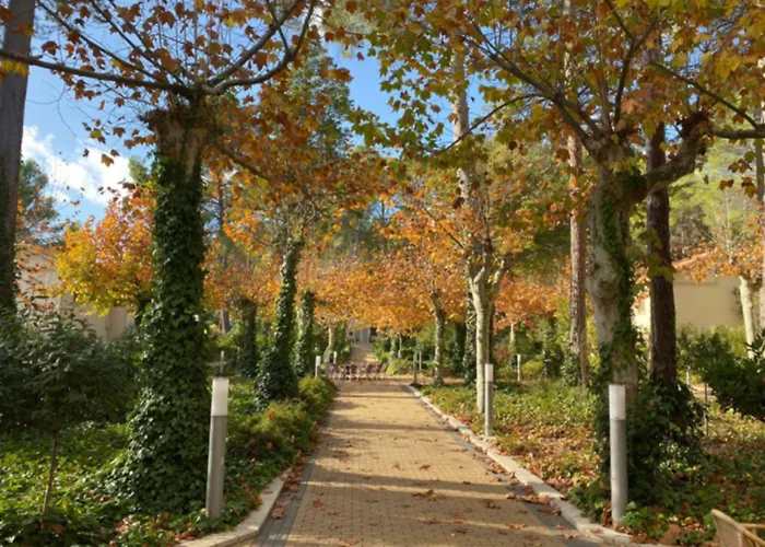Confluent Health Resort