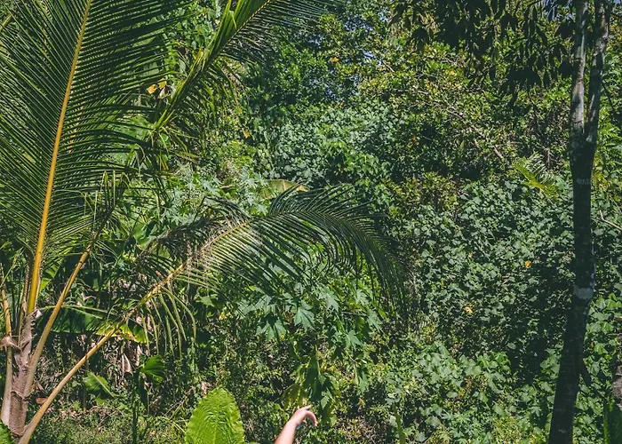 Surf & Yoga Sri Lanka - Surf Camp And Yoga Retreat With Coworking Space