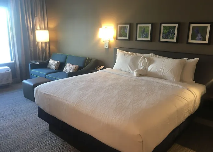 Hilton Garden Inn Austin Airport