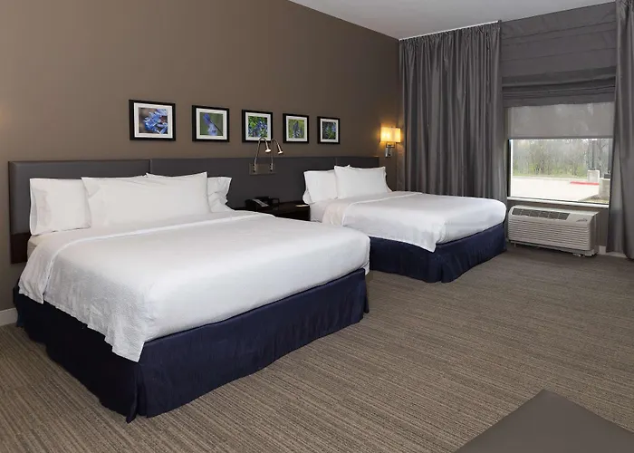 Hilton Garden Inn Austin Airport